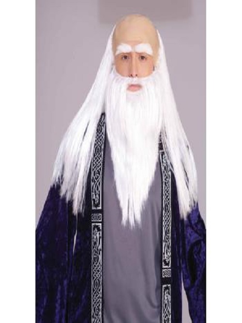 Wizard Wig and Beard