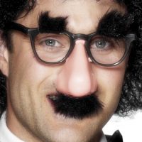 Groucho specs/nose glasses