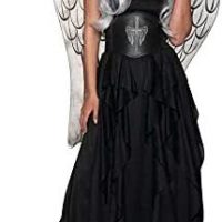 Dark Angel Costume