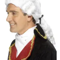 Colonial White Wig