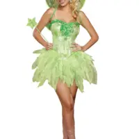 Fairy-Licious Costume