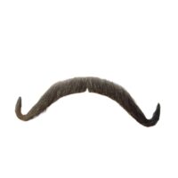 Mustache 100% Human Hair