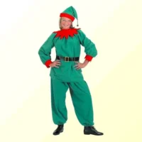 Female Elf Costume (Rental)