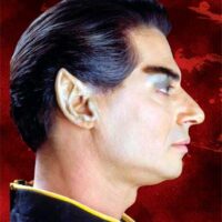 Elf or Space Ear Tips