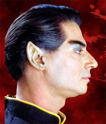 Elf or Space Ear Tips