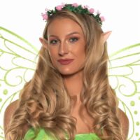 Fairy Accessory Kit