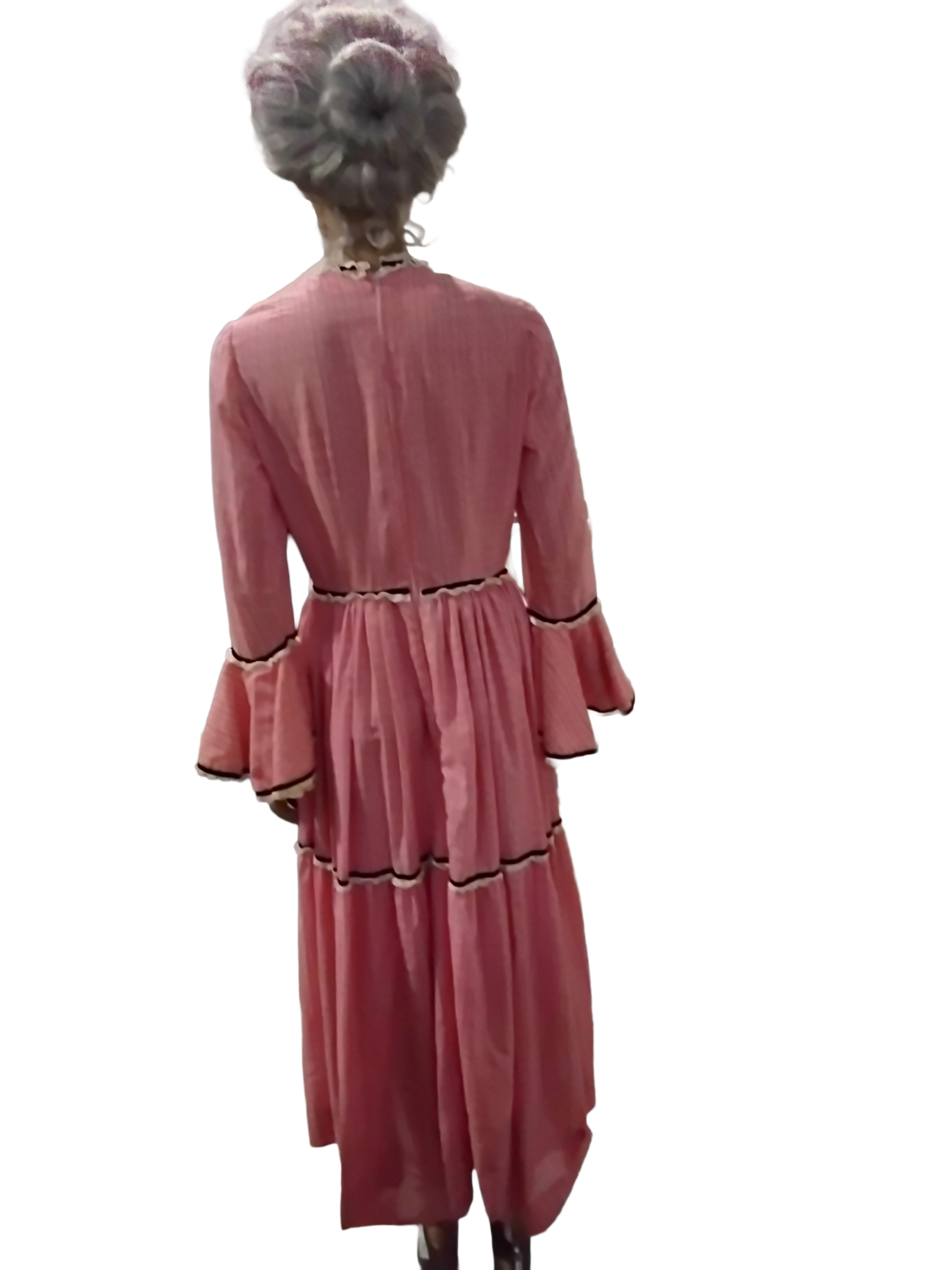 Victorian Pioneer Woman Prairie Dress Costume (Rental) - Image 2