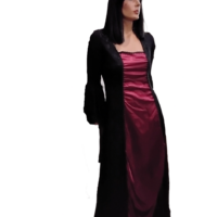 Womans Gothic Vampira Costume